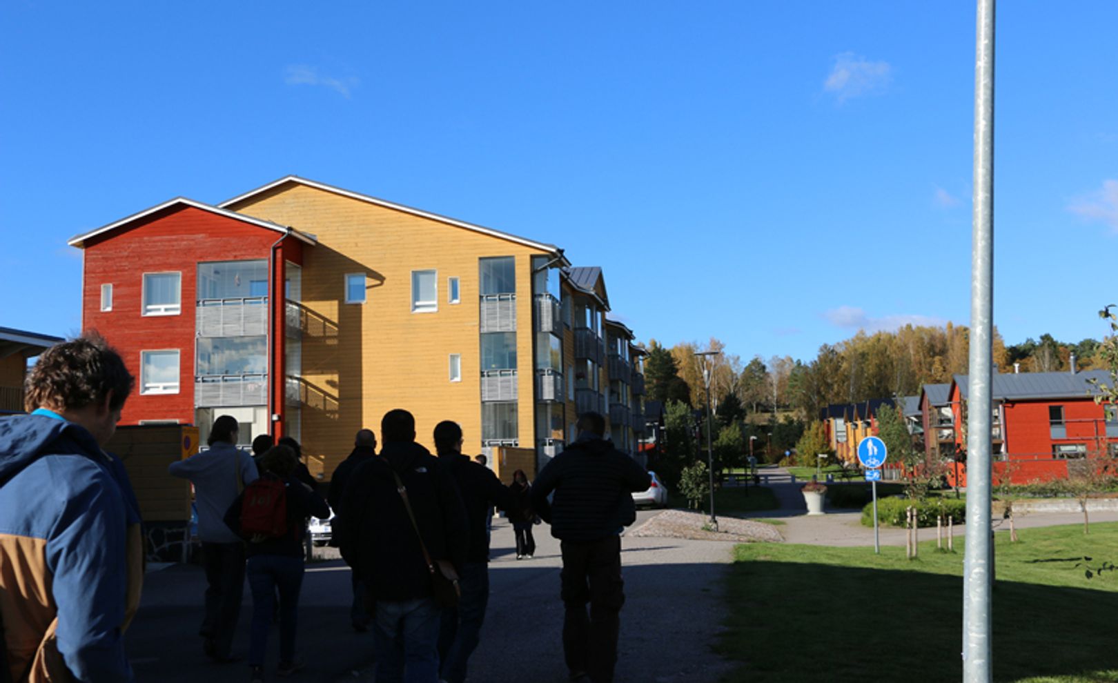 Указ Трампа также сворачивает программу Housing First по предоставлению жилья бездомным